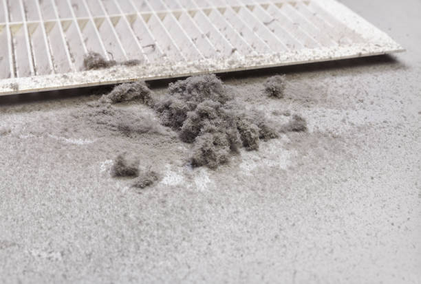 Best Air Duct Cleaning Company Near Me  in Hillsboro, KS