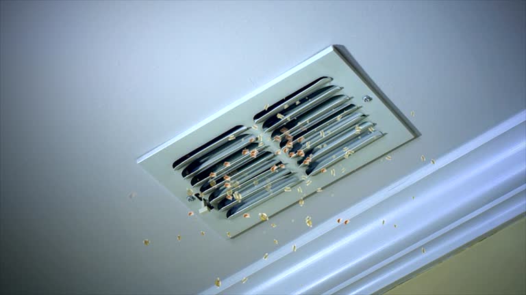 Best Commercial Air Duct Cleaning  in Hillsboro, KS
